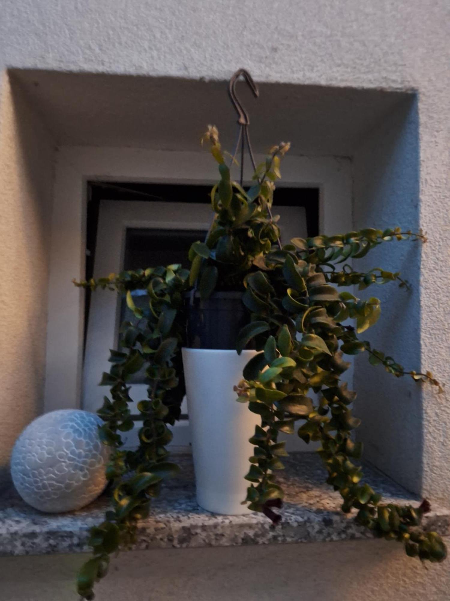 Studio Apartmani Louis I Lola Zagreb Extérieur photo